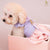 Glitter Pooch Harness ชุดรัดอก สายจูง เสื้อผ้า สุนัข, หมา, แมว, สัตว์เลี้ยง พร้อม สายจูง รุ่น Bunnie Lollipop Purple - GLITTER POOCH DOG & CAT HARNESS