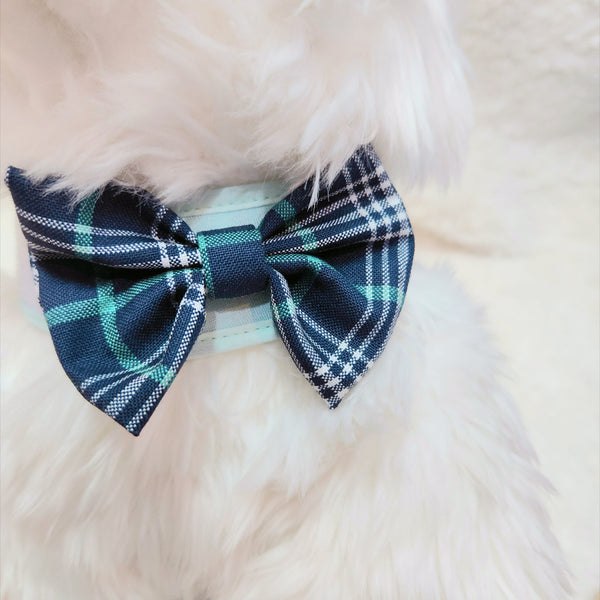 Glitter Pooch Harness ชุดรัดอก สายจูง เสื้อผ้า สุนัข, หมา, แมว, สัตว์เลี้ยง พร้อม สายจูง รุ่น Mint Suit Gentleman - GLITTER POOCH DOG & CAT HARNESS