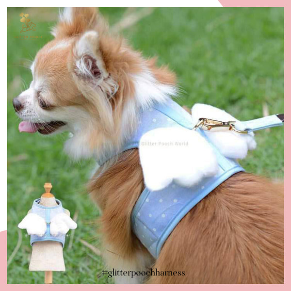 Glitter Pooch ชุดรัดอก สายจูง เสื้อผ้า สุนัข, หมา, แมว, สัตว์เลี้ยง พร้อม สายจูง รุ่น Dotty Angel Wing Blue - GLITTER POOCH DOG & CAT HARNESS