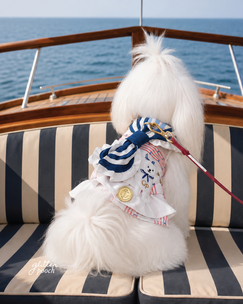 Glitter Pooch Harness ชุดรัดอก สายจูง เสื้อผ้า สุนัข, หมา, แมว, สัตว์เลี้ยง พร้อม สายจูง รุ่น The Regetta Club - Girl