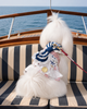 Glitter Pooch Harness ชุดรัดอก สายจูง เสื้อผ้า สุนัข, หมา, แมว, สัตว์เลี้ยง พร้อม สายจูง รุ่น The Regetta Club - Girl