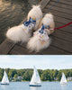 Glitter Pooch Harness ชุดรัดอก สายจูง เสื้อผ้า สุนัข, หมา, แมว, สัตว์เลี้ยง พร้อม สายจูง รุ่น The Regetta Club - Boy
