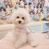 Glitter Pooch Harness ชุดรัดอก สายจูง เสื้อผ้า สุนัข, หมา, แมว, สัตว์เลี้ยง พร้อม สายจูง รุ่น Milky Nephophile - GLITTER POOCH DOG & CAT HARNESS