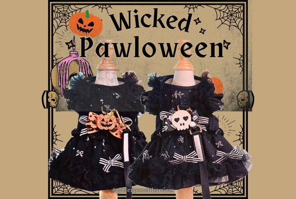 Glitter Pooch Harness ชุดรัดอก สายจูง เสื้อผ้า สุนัข, หมา, แมว, สัตว์เลี้ยง พร้อม สายจูง รุ่น Halloween Gal 2024 V.2 - GLITTER POOCH DOG & CAT HARNESS