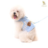 Glitter Pooch Harness ชุดรัดอก สายจูง เสื้อผ้า สุนัข, หมา, แมว, สัตว์เลี้ยง พร้อม สายจูง รุ่น Bluetiful Teddy Boy - GLITTER POOCH DOG & CAT HARNESS