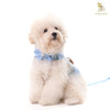 Glitter Pooch Harness ชุดรัดอก สายจูง เสื้อผ้า สุนัข, หมา, แมว, สัตว์เลี้ยง พร้อม สายจูง รุ่น Bluetiful Teddy Boy - GLITTER POOCH DOG & CAT HARNESS