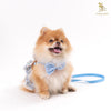 Glitter Pooch Harness ชุดรัดอก สายจูง เสื้อผ้า สุนัข, หมา, แมว, สัตว์เลี้ยง พร้อม สายจูง รุ่น Bluetiful Teddy Girl - GLITTER POOCH DOG & CAT HARNESS