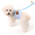 Glitter Pooch Harness ชุดรัดอก สายจูง เสื้อผ้า สุนัข, หมา, แมว, สัตว์เลี้ยง พร้อม สายจูง รุ่น Bluetiful Teddy Boy - GLITTER POOCH DOG & CAT HARNESS