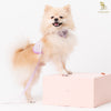 Glitter Pooch Harness ชุดรัดอก สายจูง เสื้อผ้า สุนัข, หมา, แมว, สัตว์เลี้ยง พร้อม สายจูง รุ่น His Lavender Cloud - GLITTER POOCH DOG & CAT HARNESS