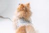 Glitter Pooch Harness ชุดรัดอก สายจูง เสื้อผ้า สุนัข, หมา, แมว, สัตว์เลี้ยง พร้อม สายจูง รุ่น Pearly Tweedtie Blue - GLITTER POOCH DOG & CAT HARNESS