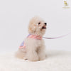 Glitter Pooch Harness ชุดรัดอก สายจูง เสื้อผ้า สุนัข, หมา, แมว, สัตว์เลี้ยง พร้อม สายจูง รุ่น Me Puffy & Bee Bestie in Sherbet - GLITTER POOCH DOG & CAT HARNESS