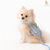 Glitter Pooch Harness ชุดรัดอก สายจูง เสื้อผ้า สุนัข, หมา, แมว, สัตว์เลี้ยง พร้อม สายจูง รุ่น Blue Pastel Gentleman - GLITTER POOCH DOG & CAT HARNESS