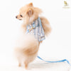 Glitter Pooch Harness ชุดรัดอก สายจูง เสื้อผ้า สุนัข, หมา, แมว, สัตว์เลี้ยง พร้อม สายจูง รุ่น Blue Pastel Gentleman - GLITTER POOCH DOG & CAT HARNESS