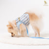 Glitter Pooch Harness ชุดรัดอก สายจูง เสื้อผ้า สุนัข, หมา, แมว, สัตว์เลี้ยง พร้อม สายจูง รุ่น Blue Pastel Gentleman - GLITTER POOCH DOG & CAT HARNESS