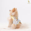 Glitter Pooch Harness ชุดรัดอก สายจูง เสื้อผ้า สุนัข, หมา, แมว, สัตว์เลี้ยง พร้อม สายจูง รุ่น Yellow Pastel Gentleman - GLITTER POOCH DOG & CAT HARNESS