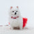 Glitter Pooch Harness ชุดรัดอก สายจูง เสื้อผ้า สุนัข, หมา, แมว, สัตว์เลี้ยง พร้อม สายจูง รุ่น Fairyfloss Lunar Tutu Dress - GLITTER POOCH DOG & CAT HARNESS