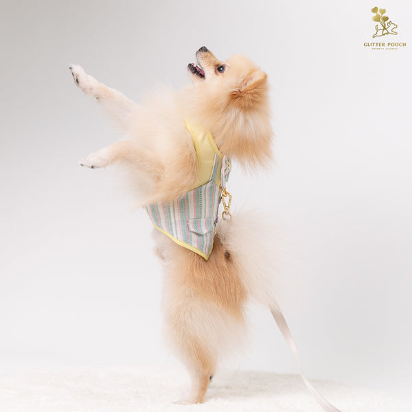 Glitter Pooch Harness ชุดรัดอก สายจูง เสื้อผ้า สุนัข, หมา, แมว, สัตว์เลี้ยง พร้อม สายจูง รุ่น Yellow Pastel Gentleman - GLITTER POOCH DOG & CAT HARNESS