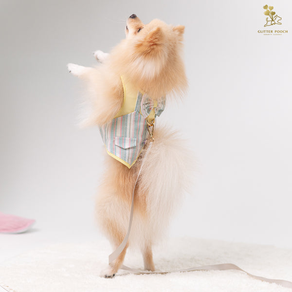 Glitter Pooch Harness ชุดรัดอก สายจูง เสื้อผ้า สุนัข, หมา, แมว, สัตว์เลี้ยง พร้อม สายจูง รุ่น Yellow Pastel Gentleman - GLITTER POOCH DOG & CAT HARNESS
