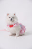 Glitter Pooch Harness ชุดรัดอก สายจูง เสื้อผ้า สุนัข, หมา, แมว, สัตว์เลี้ยง พร้อม สายจูง รุ่น Cherry Barbie - GLITTER POOCH DOG & CAT HARNESS