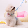 Glitter Pooch Harness ชุดรัดอก สายจูง เสื้อผ้า สุนัข, หมา, แมว, สัตว์เลี้ยง พร้อม สายจูง รุ่น Lolly Fairyland in Blue Sky - GLITTER POOCH DOG & CAT HARNESS