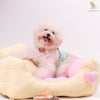 Glitter Pooch Harness ชุดรัดอก สายจูง เสื้อผ้า สุนัข, หมา, แมว, สัตว์เลี้ยง พร้อม สายจูง รุ่น Lolly Fairyland in Mint Candy - GLITTER POOCH DOG & CAT HARNESS