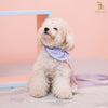 Glitter Pooch Harness ชุดรัดอก สายจูง เสื้อผ้า สุนัข, หมา, แมว, สัตว์เลี้ยง พร้อม สายจูง รุ่น Bunnie Lollipop Purple - GLITTER POOCH DOG & CAT HARNESS