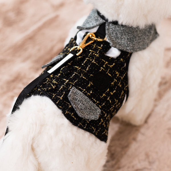 Glitter Pooch Harness ชุดรัดอก สายจูง เสื้อผ้า สุนัข, หมา, แมว, สัตว์เลี้ยง พร้อม สายจูง รุ่น Sassy Homme - GLITTER POOCH DOG & CAT HARNESS