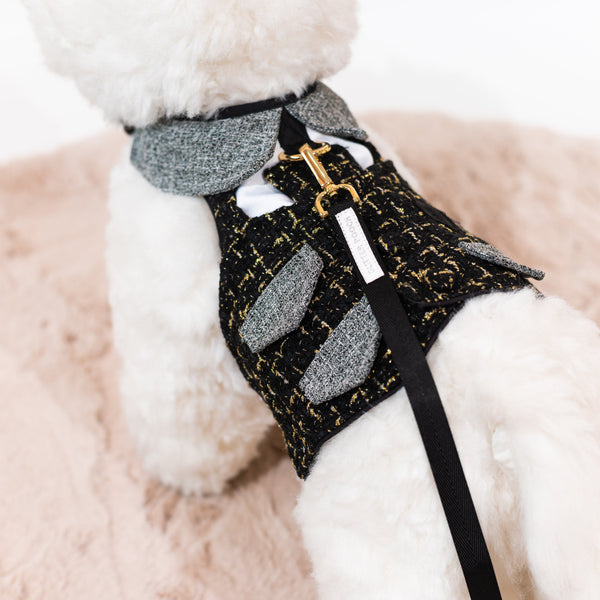 Glitter Pooch Harness ชุดรัดอก สายจูง เสื้อผ้า สุนัข, หมา, แมว, สัตว์เลี้ยง พร้อม สายจูง รุ่น Sassy Homme - GLITTER POOCH DOG & CAT HARNESS