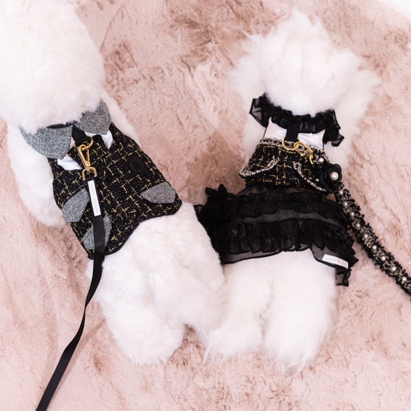 Glitter Pooch Harness ชุดรัดอก สายจูง เสื้อผ้า สุนัข, หมา, แมว, สัตว์เลี้ยง พร้อม สายจูง รุ่น New Sassy Emily Black - GLITTER POOCH DOG & CAT HARNESS