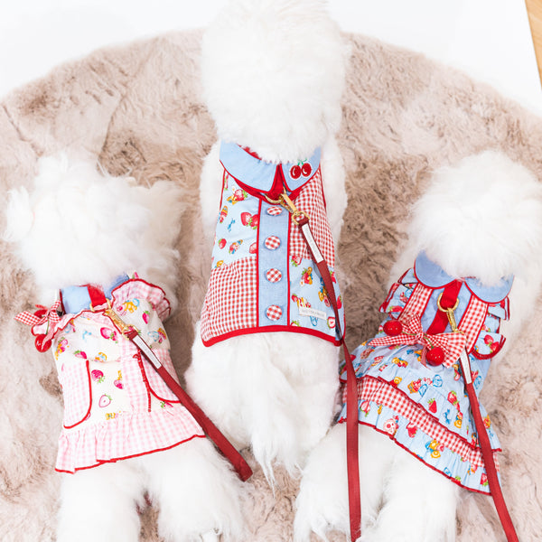 Glitter Pooch Harness ชุดรัดอก สายจูง เสื้อผ้า สุนัข, หมา, แมว, สัตว์เลี้ยง พร้อม สายจูง รุ่น Cherrylyn - GLITTER POOCH DOG & CAT HARNESS