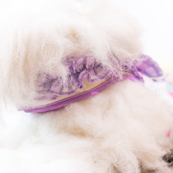 Glitter Pooch Harness ชุดรัดอก สายจูง เสื้อผ้า สุนัข, หมา, แมว, สัตว์เลี้ยง พร้อม สายจูง รุ่น Ballerina Viola - GLITTER POOCH DOG & CAT HARNESS