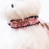 Glitter Pooch Harness ชุดรัดอก สายจูง เสื้อผ้า สุนัข, หมา, แมว, สัตว์เลี้ยง พร้อม สายจูง รุ่น New Emily in Paris - Blackpink - GLITTER POOCH DOG & CAT HARNESS