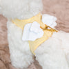 Glitter Pooch Harness ชุดรัดอก สายจูง เสื้อผ้า สุนัข, หมา, แมว, สัตว์เลี้ยง พร้อม สายจูง รุ่น Butter Duo Wings - GLITTER POOCH DOG & CAT HARNESS