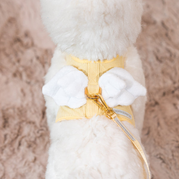 Glitter Pooch Harness ชุดรัดอก สายจูง เสื้อผ้า สุนัข, หมา, แมว, สัตว์เลี้ยง พร้อม สายจูง รุ่น Butter Duo Wings - GLITTER POOCH DOG & CAT HARNESS