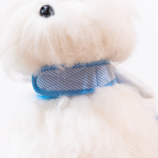 Glitter Pooch Harness ชุดรัดอก สายจูง เสื้อผ้า สุนัข, หมา, แมว, สัตว์เลี้ยง พร้อม สายจูง รุ่น Melody Duo Wings - GLITTER POOCH DOG & CAT HARNESS