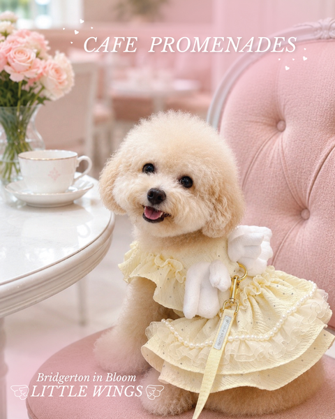 Glitter Pooch Harness ชุดรัดอก สายจูง เสื้อผ้า สุนัข, หมา, แมว, สัตว์เลี้ยง พร้อม สายจูง รุ่น Bridgerton in Bloom Little Wings - Yellow