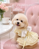 Glitter Pooch Harness ชุดรัดอก สายจูง เสื้อผ้า สุนัข, หมา, แมว, สัตว์เลี้ยง พร้อม สายจูง รุ่น Bridgerton in Bloom Little Wings - Yellow