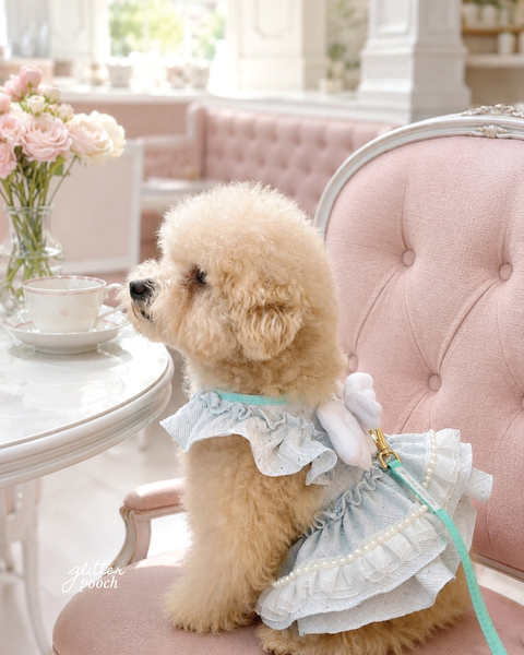 Glitter Pooch Harness ชุดรัดอก สายจูง เสื้อผ้า สุนัข, หมา, แมว, สัตว์เลี้ยง พร้อม สายจูง รุ่น Bridgerton in Bloom Little Wings - Mint