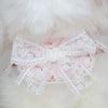 Glitter Pooch Harness ชุดรัดอก สายจูง เสื้อผ้า สุนัข, หมา, แมว, สัตว์เลี้ยง พร้อม สายจูง รุ่น GP0245 - GLITTER POOCH DOG & CAT HARNESS