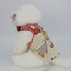 Glitter Pooch Harness ชุดรัดอก สายจูง เสื้อผ้า สุนัข, หมา, แมว, สัตว์เลี้ยง พร้อม สายจูง รุ่น Tiny Teddy Boy - GLITTER POOCH DOG & CAT HARNESS