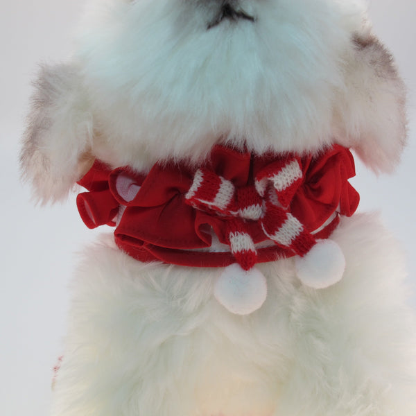 Glitter Pooch Harness ชุดรัดอก สายจูง เสื้อผ้า สุนัข, หมา, แมว, สัตว์เลี้ยง พร้อม สายจูง รุ่น Frosty Bear Jubilee - GLITTER POOCH DOG & CAT HARNESS