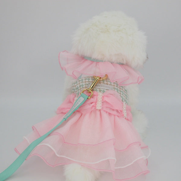 Glitter Pooch Harness ชุดรัดอก สายจูง เสื้อผ้า สุนัข, หมา, แมว, สัตว์เลี้ยง พร้อม สายจูง รุ่น Sugary Lady Charlotte - GLITTER POOCH DOG & CAT HARNESS