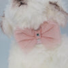 Glitter Pooch Harness ชุดรัดอก สายจูง เสื้อผ้า สุนัข, หมา, แมว, สัตว์เลี้ยง พร้อม สายจูง รุ่น BOWnebelle Charmy - Rose - GLITTER POOCH DOG & CAT HARNESS