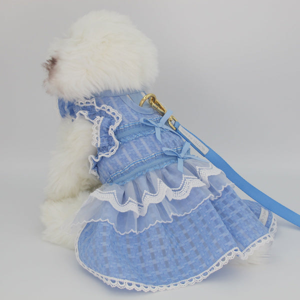 Glitter Pooch Harness ชุดรัดอก สายจูง เสื้อผ้า สุนัข, หมา, แมว, สัตว์เลี้ยง พร้อม สายจูง รุ่น Twinkle Icicle - GLITTER POOCH DOG & CAT HARNESS