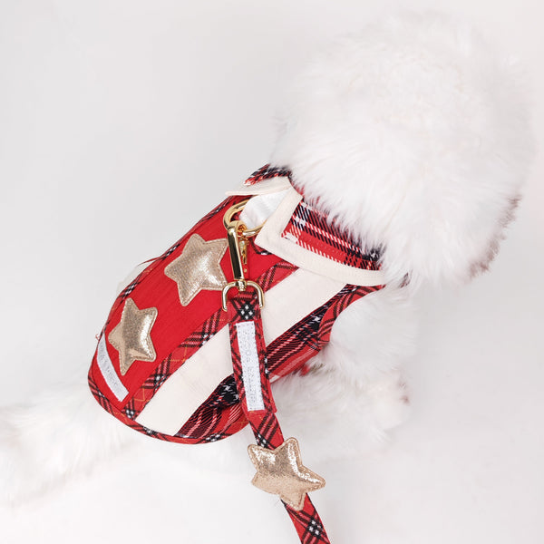 Glitter Pooch Harness ชุดรัดอก สายจูง เสื้อผ้า สุนัข, หมา, แมว, สัตว์เลี้ยง พร้อม สายจูง รุ่น Starry Noel Soirée Boy