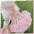 Glitter Pooch Harness ชุดรัดอก สายจูง เสื้อผ้า สุนัข, หมา, แมว, สัตว์เลี้ยง พร้อม สายจูง รุ่น Sassy Emily Pink - GLITTER POOCH DOG & CAT HARNESS