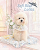 Glitter Pooch Harness ชุดรัดอก สายจูง เสื้อผ้า สุนัข, หมา, แมว, สัตว์เลี้ยง พร้อม สายจูง รุ่น Soft Blue Lolita - GLITTER POOCH DOG & CAT HARNESS