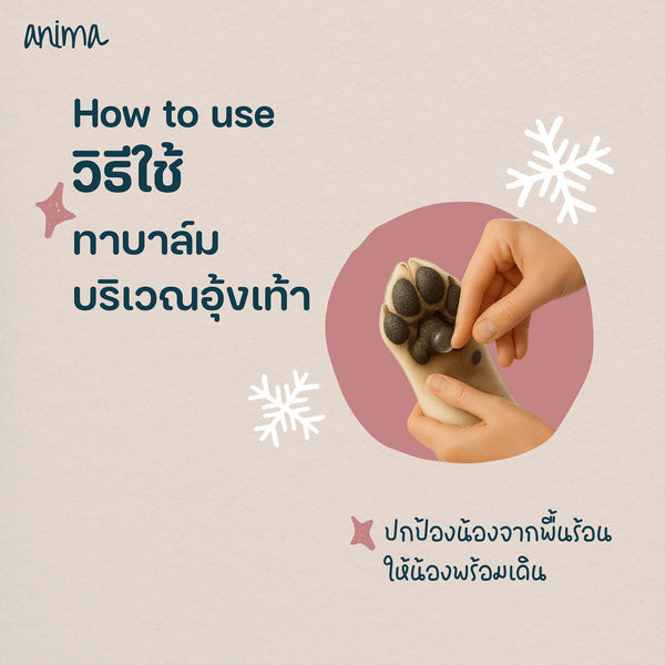 ANIMA Cooling Balm บาล์มให้ความเย็น สำหรับ สัตว์เลี้ยง, หมา, แมว, สุนัข - GLITTER POOCH DOG & CAT HARNESS