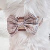 Glitter Pooch Harness ชุดรัดอก สายจูง เสื้อผ้า สุนัข, หมา, แมว, สัตว์เลี้ยง พร้อม สายจูง รุ่น Brownies Scotties Gentleman - GLITTER POOCH DOG & CAT HARNESS