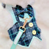 Glitter Pooch Harness ชุดรัดอก สายจูง เสื้อผ้า สุนัข, หมา, แมว, สัตว์เลี้ยง พร้อม สายจูง รุ่น Mint Suit Gentleman - GLITTER POOCH DOG & CAT HARNESS